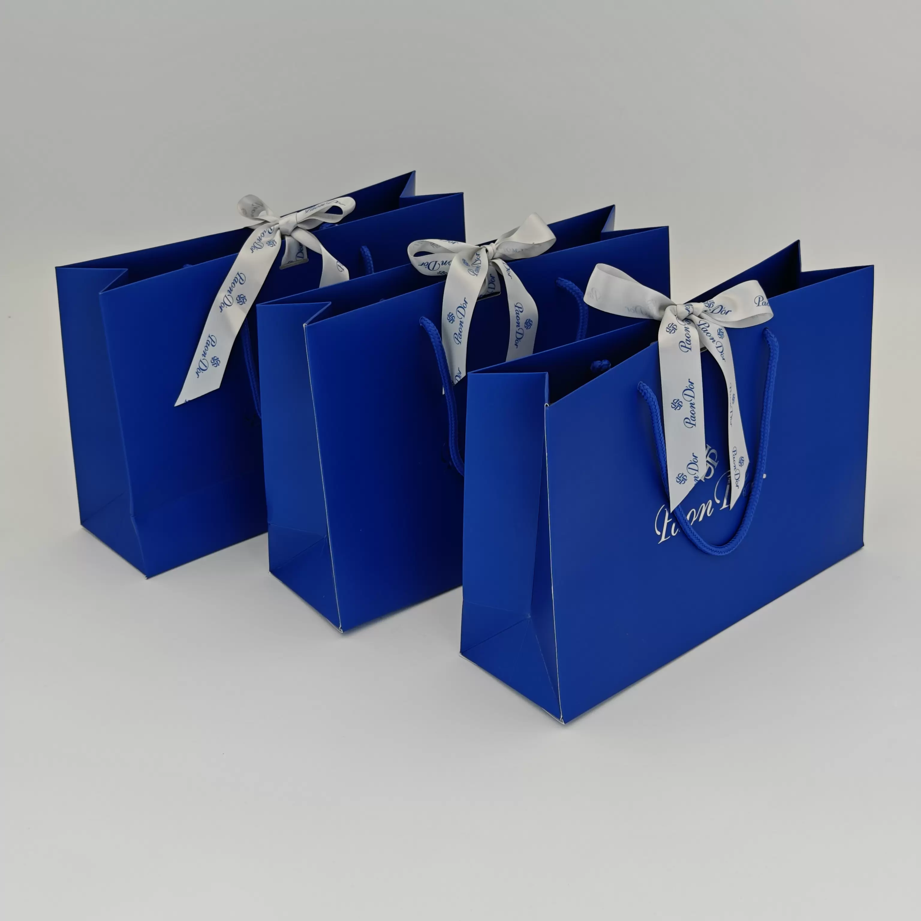  Sacchetti regalo di lusso 