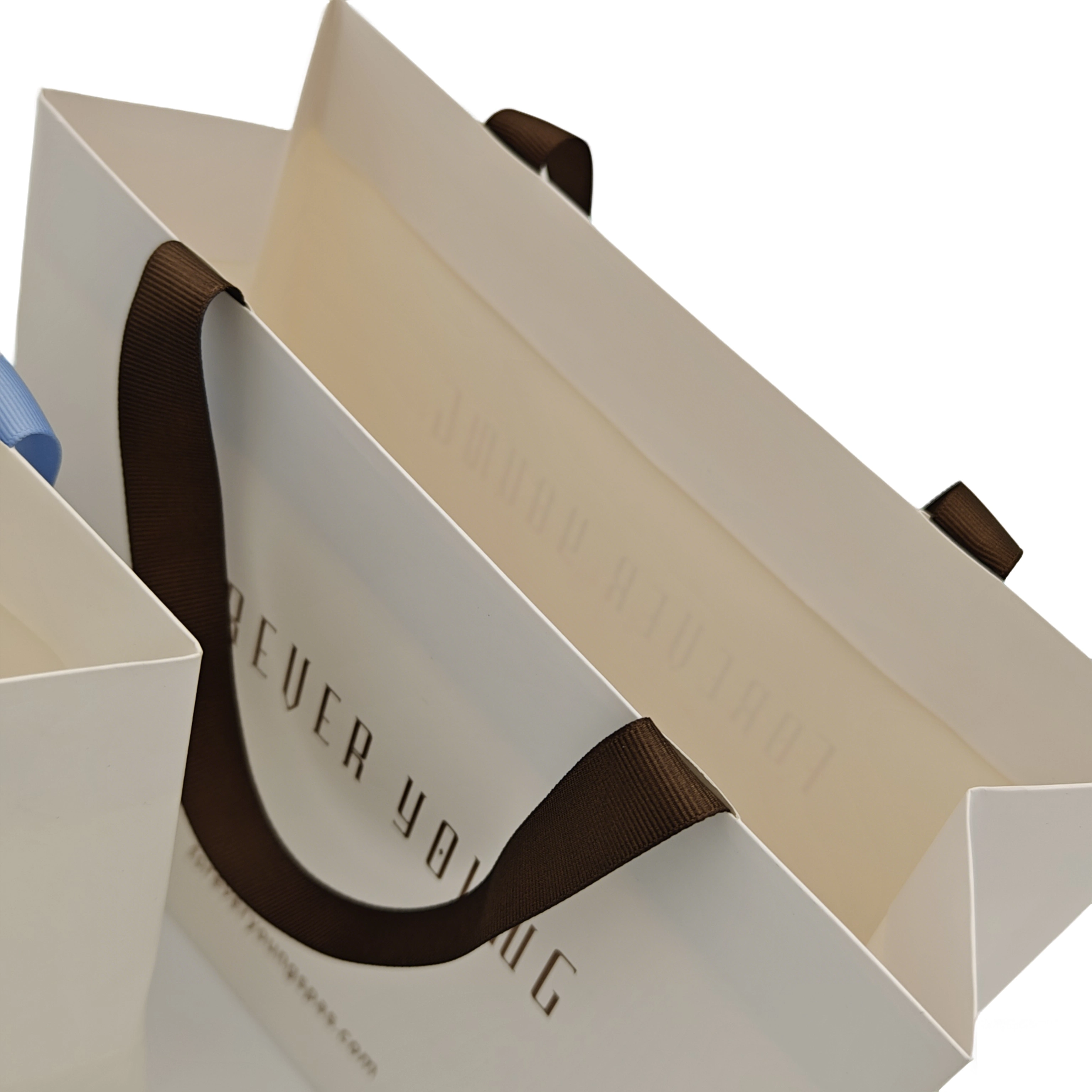  Borse di carta per lo shopping 